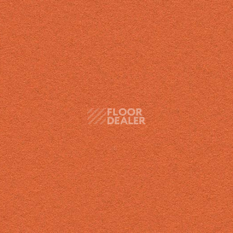 Линолеум Forbo Marmoleum Bulletin Board 2211 tangerine zest фото 1 | FLOORDEALER